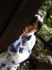 img201206110352425.jpg