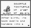Squirtle.PNG Squirtle.PNG