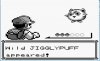 jiggly.jpg jiggly.jpg
