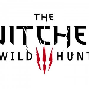 The Witcher 3: Wild Hunt - Official Soundtrack #14 - The Hunter's Path