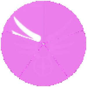 1 - Aquila (Novice)(SM).png