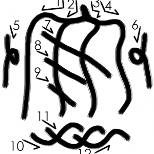 Oc43MirrorCurtain.png