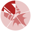 1 - Cannonis (Novice)(SM).png