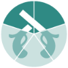 2 - Pistolii (Adept)(SM).png