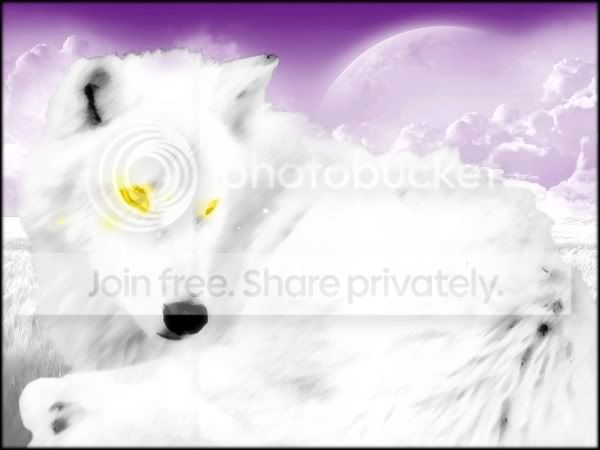 shirubawolf.jpg