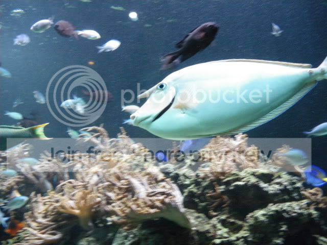 IMGP0883.jpg
