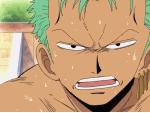 zoro01.gif