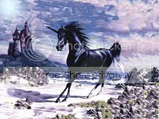 unicorn-800x600-119.jpg