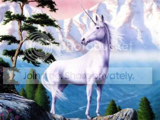 unicorn-800x600-022.jpg