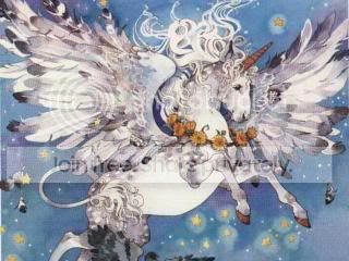unicorn-800x600-051.jpg
