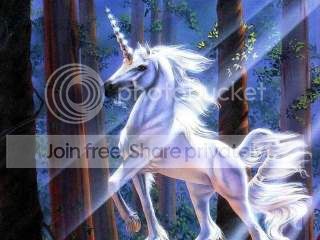 unicorn-800x600-074.jpg